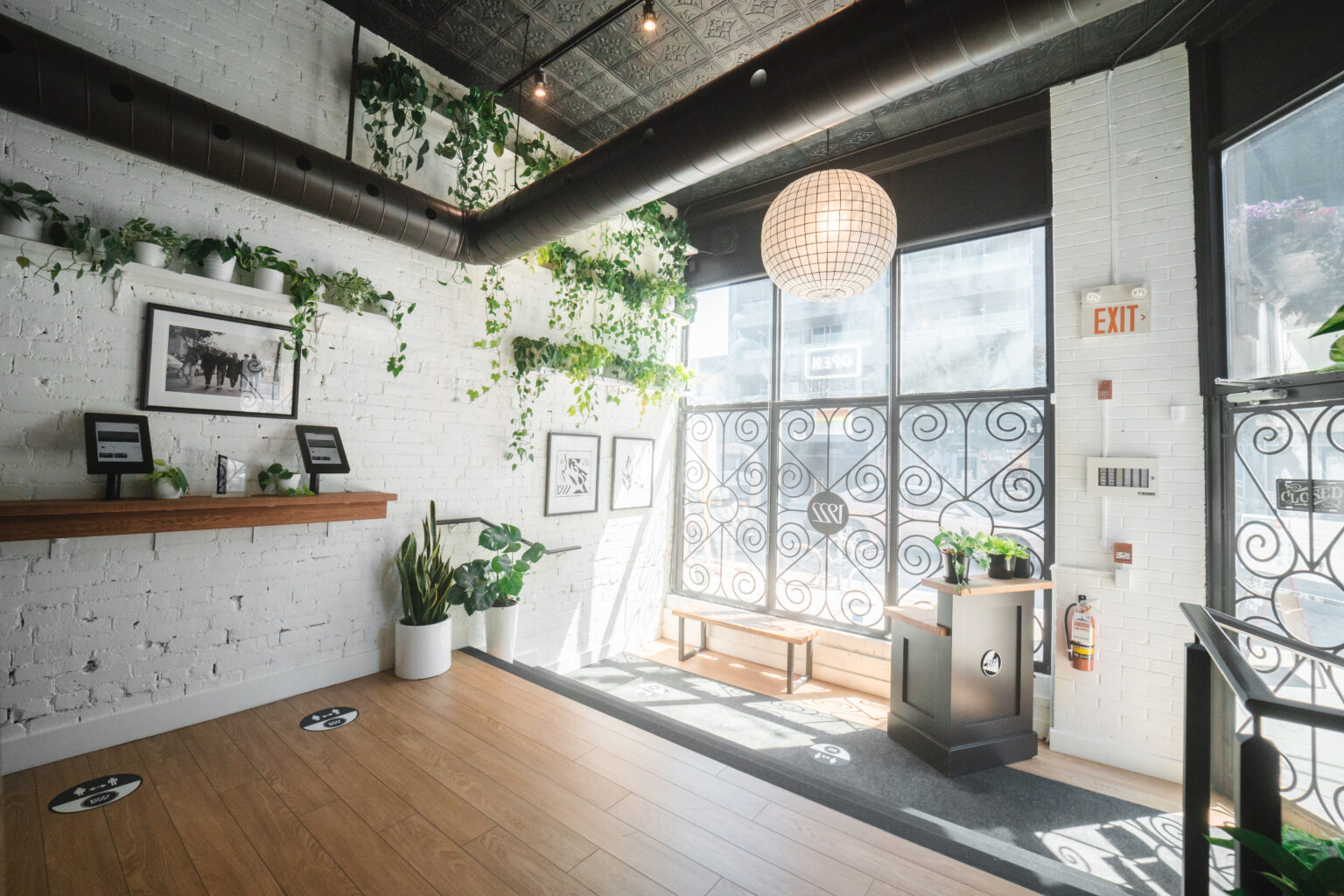 Sunlit entrance to 1922 Cannabis with plants and customer browsing tablets